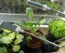 grow room light calculator