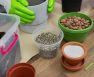 Drainage Material For Potted Plants