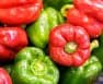 Sweet Pepper Varieties List