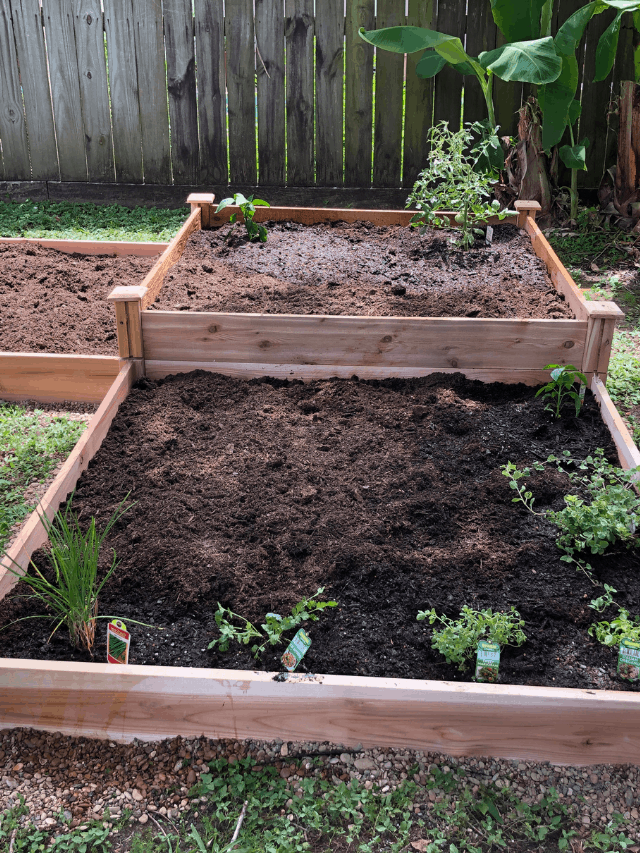 Untitled design (12)