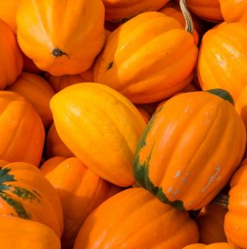 Acorn Squash Turning Orange