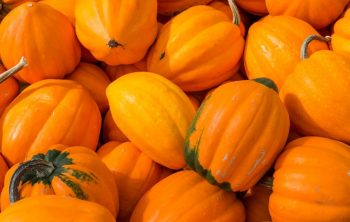 Acorn Squash Turning Orange