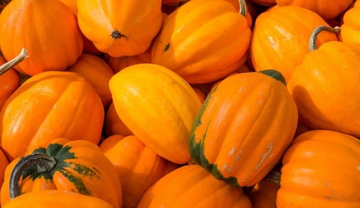 Acorn Squash Turning Orange