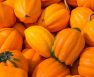 Acorn Squash Turning Orange