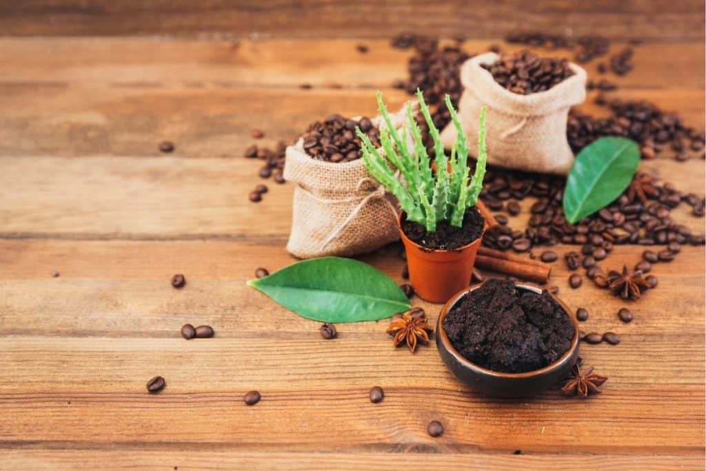 Vegetables That Like Coffee Grounds