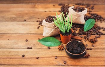 List Of Vegetables That Like Coffee Grounds