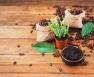 List Of Vegetables That Like Coffee Grounds