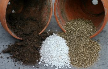 Making Soil More Acidic