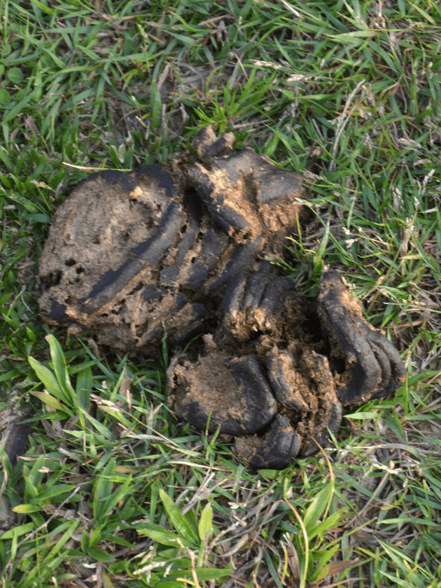 Untitled design (24)