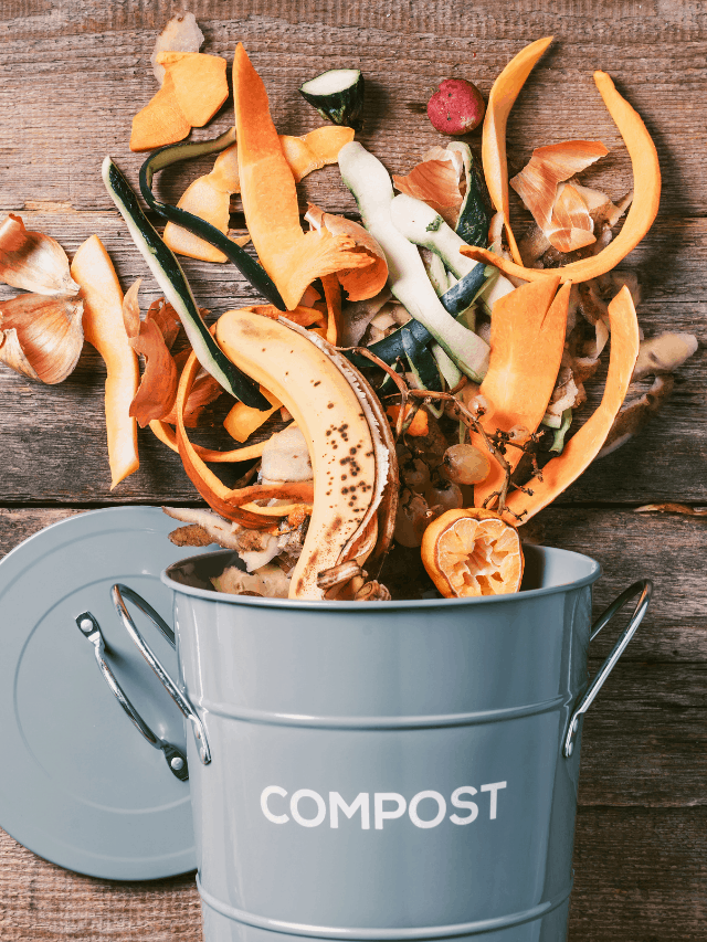 Untitled design (71)