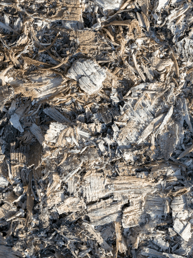 Untitled design (78)