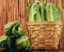 When Do You Harvest Romaine Lettuce