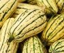 When To Harvest Delicata Squash