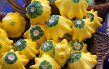 When To Harvest Patty Pan Squash