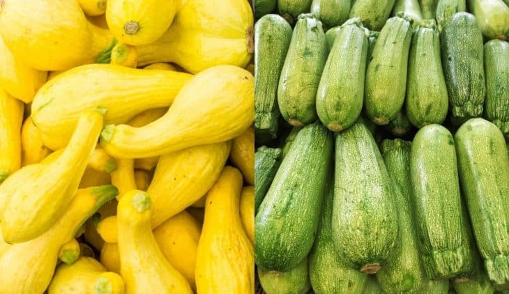 Yellow Squash vs Zucchini