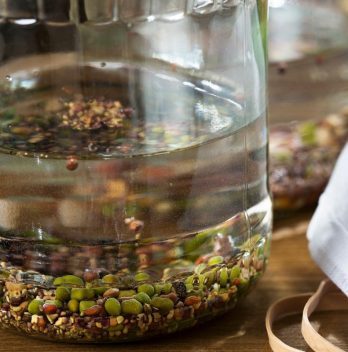 soak beans before planting