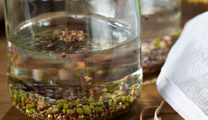 soak beans before planting