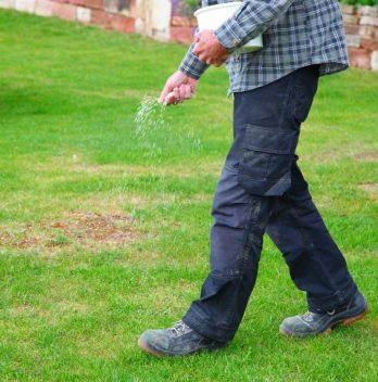  A Look At How To Add Potassium To Lawn