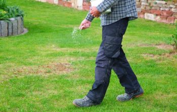  A Look At How To Add Potassium To Lawn