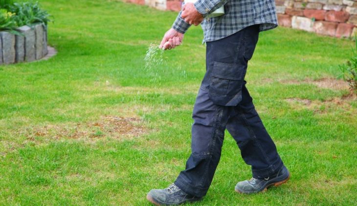  A Look At How To Add Potassium To Lawn