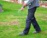  A Look At How To Add Potassium To Lawn