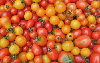 Are Cherry Tomatoes The Same As Grape Tomatoes?