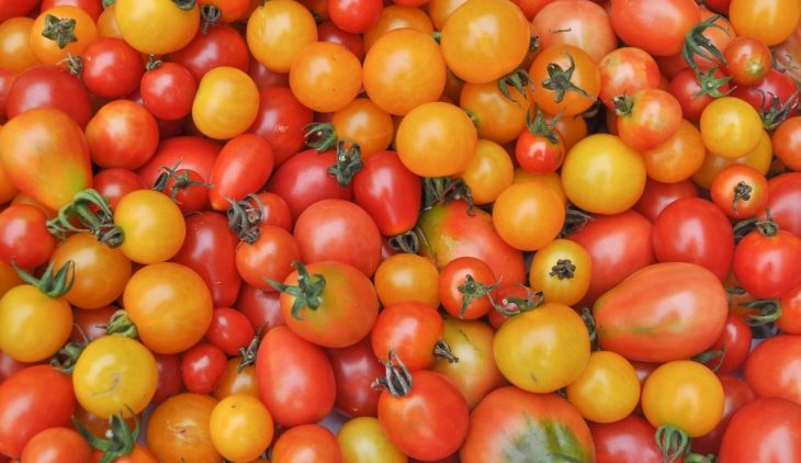 Are Cherry Tomatoes The Same As Grape Tomatoes?