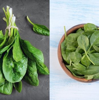 Differences Between Baby Spinach And Regular Spinach