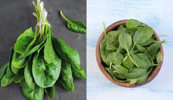 Differences Between Baby Spinach And Regular Spinach