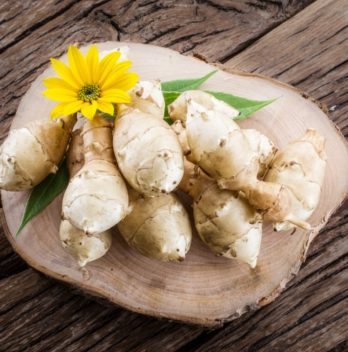 Do I Live In A Jerusalem Artichoke Growing Zone