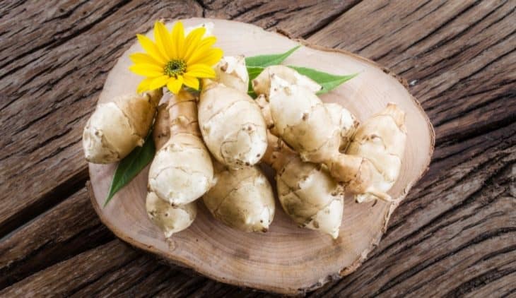 Do I Live In A Jerusalem Artichoke Growing Zone