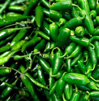 Green Chiles Vs Jalapeno: Get To Know The Differences