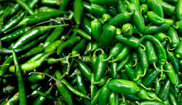 Green Chiles Vs Jalapeno: Get To Know The Differences