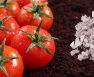 Is Adding Lime To Soil For Tomatoes A Good Idea