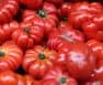 Is Beefsteak Tomato Determinate Or Indeterminate - All You Need To Know