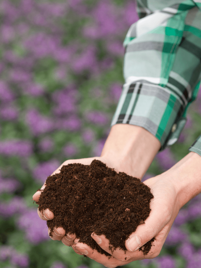 KJ 2021 11 03T190411.133