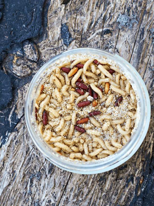 KJ 2021 11 04T042746.863