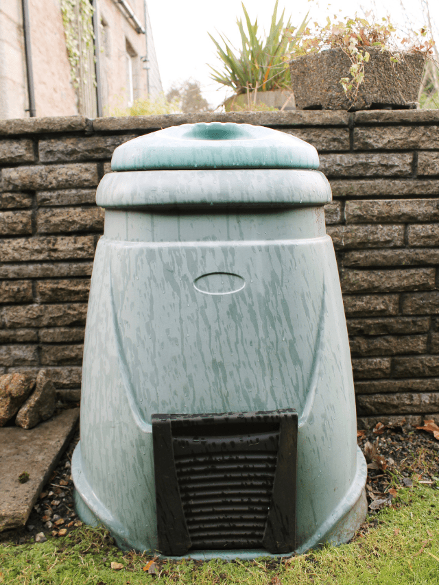 KJ 2021 11 04T181956.099