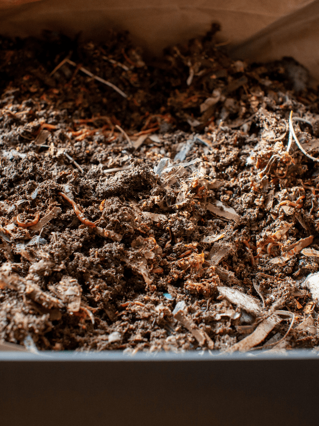 KJ 2021 11 07T065526.111