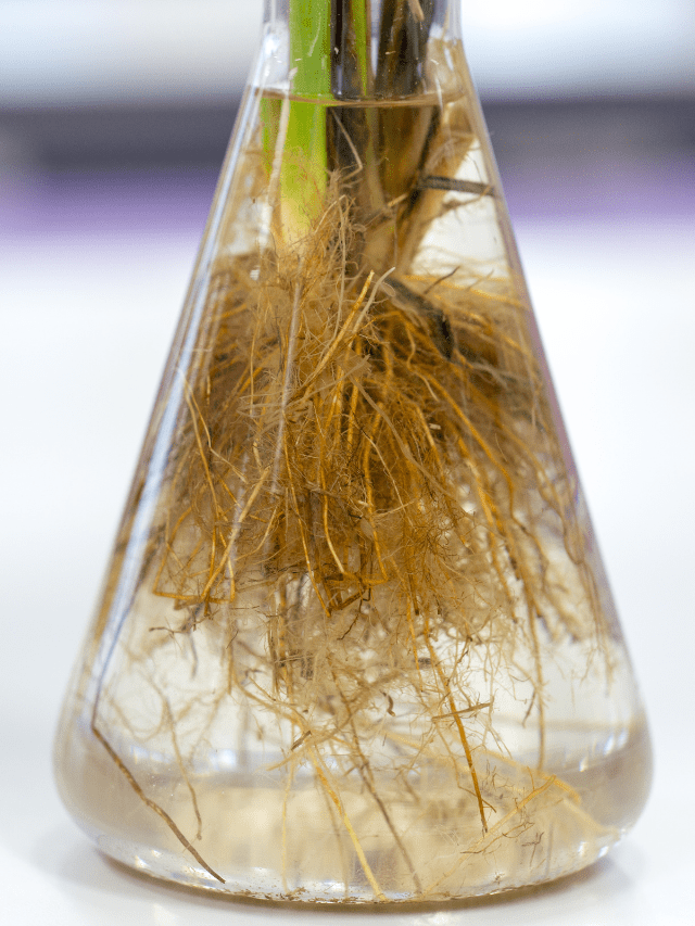 KJ 2021 11 09T191336.708