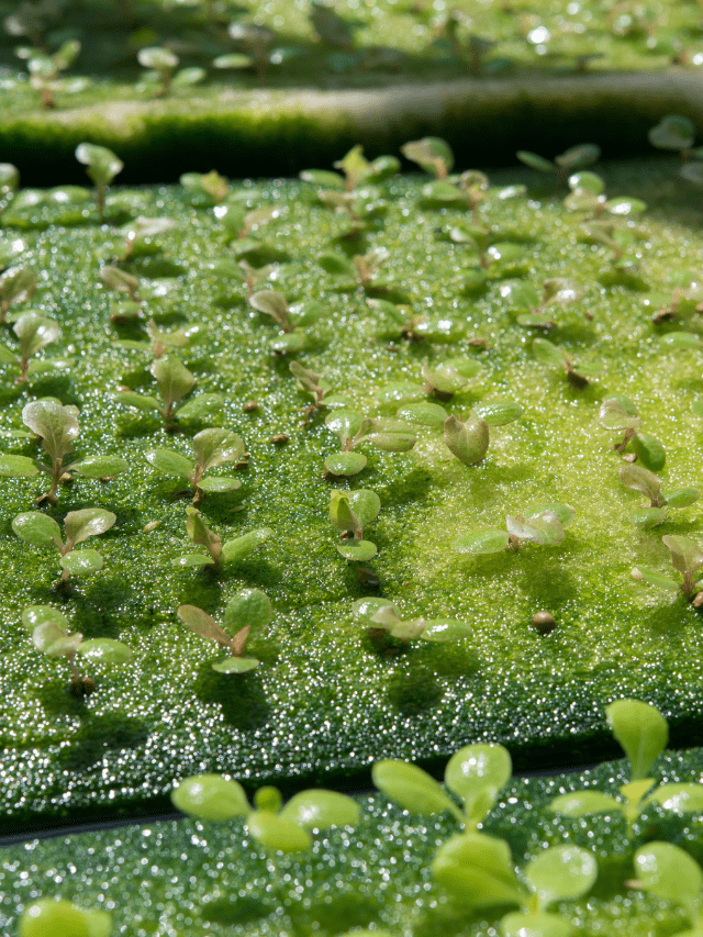 KJ 2021 11 10T190725.551