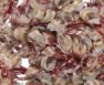 can you compost shrimp shells
