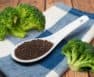 Do You Know What Do Broccoli Seeds Look Like