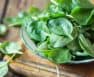 Do You Know What Family Is Spinach In