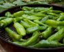 Growing Hatch Chiles