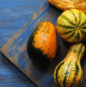 How Long Does It Take To Grow Squash