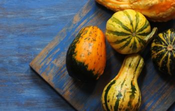 How Long Does It Take To Grow Squash