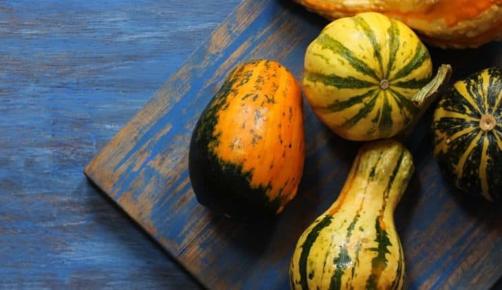 How Long Does It Take To Grow Squash