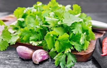 how to tell if cilantro is bad