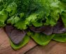 List Of Non-Cruciferous Vegetables